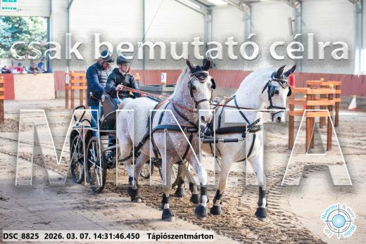 20260307-143146-DSC_8825.jpg
