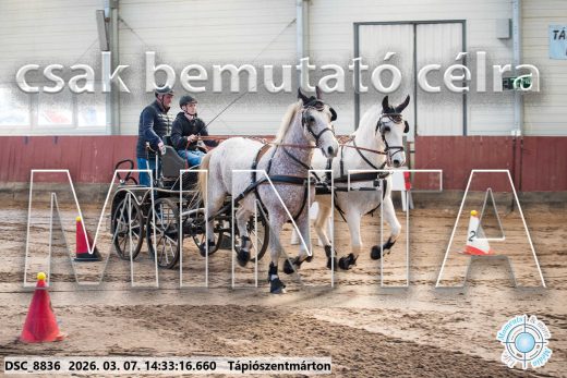 Mintakép 20260307-1113