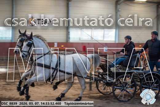 Mintakép 20260307-1115