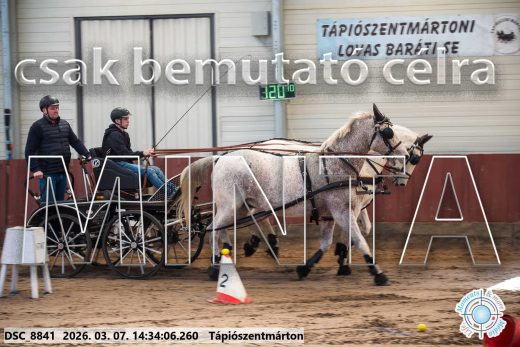 Mintakép 20260307-1117