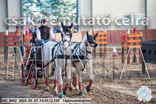 20260307-143512-DSC_8842.jpg