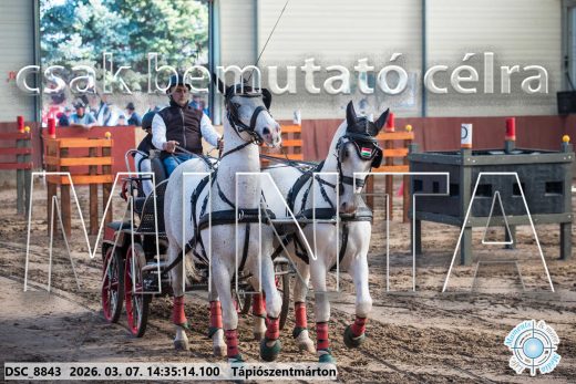 20260307-143514-DSC_8843.jpg