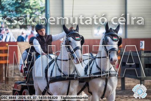 20260307-143516-DSC_8844.jpg