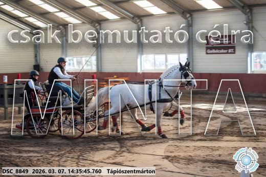 Mintakép 20260307-1124