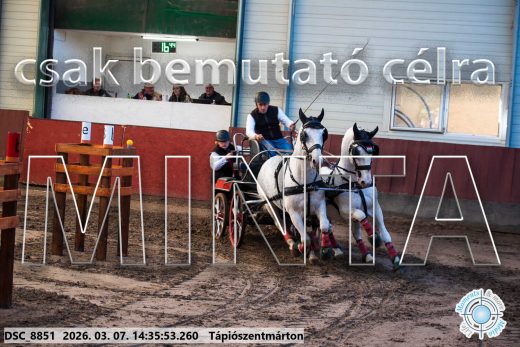 Mintakép 20260307-1126