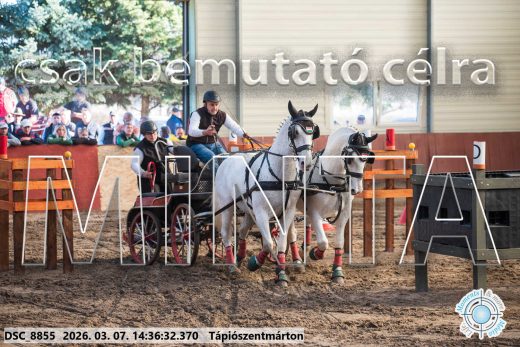 Mintakép 20260307-1129