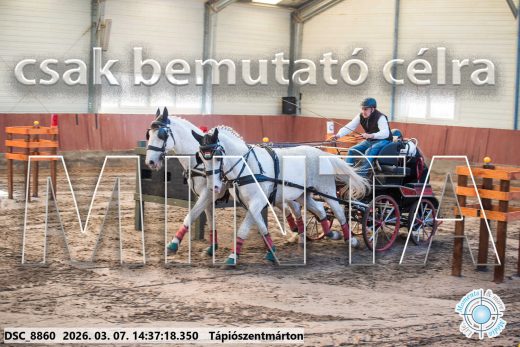 Mintakép 20260307-1133