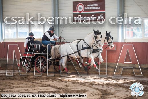Mintakép 20260307-1135