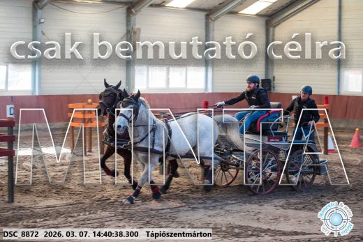 Mintakép 20260307-1143