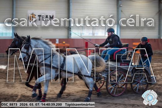 Mintakép 20260307-1144