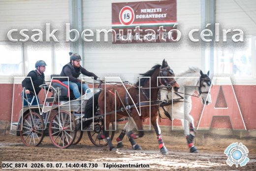 Mintakép 20260307-1145