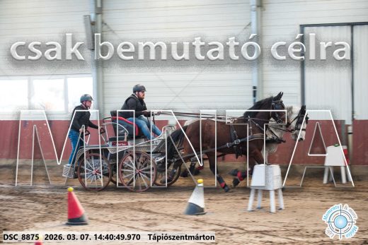 Mintakép 20260307-1146