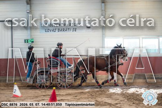 Mintakép 20260307-1147