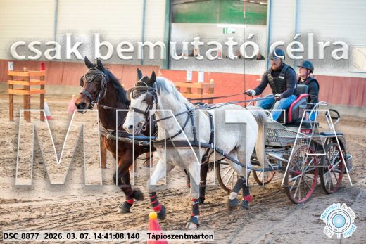 Mintakép 20260307-1148