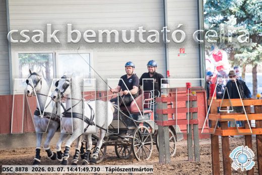 Mintakép 20260307-1149