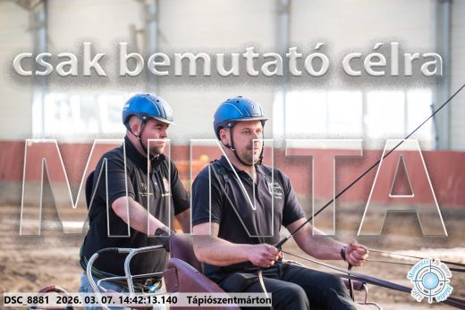 Mintakép 20260307-1152