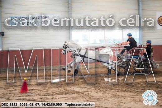 Mintakép 20260307-1153