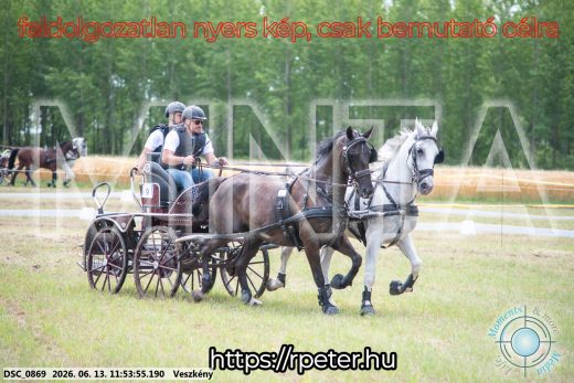 Mintakép 20260613-774