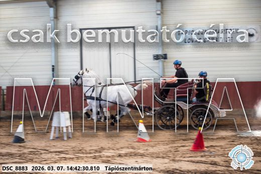 Mintakép 20260307-1154