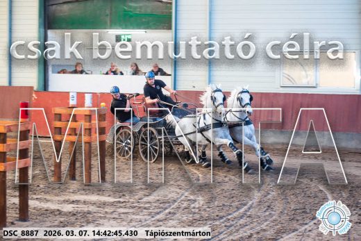 Mintakép 20260307-1157