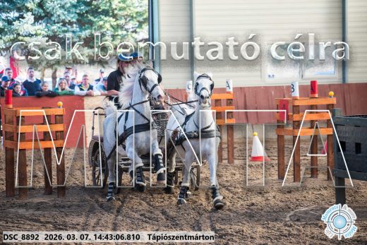 Mintakép 20260307-1160