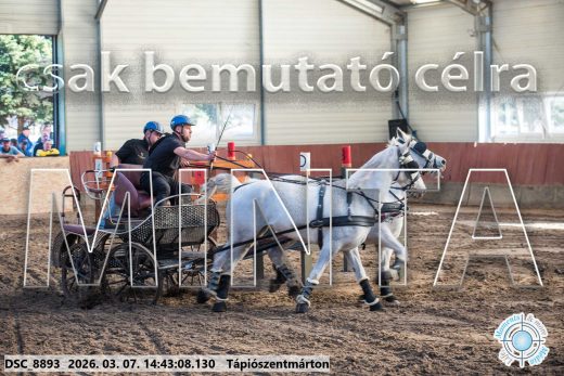 Mintakép 20260307-1161