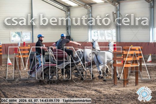 Mintakép 20260307-1162