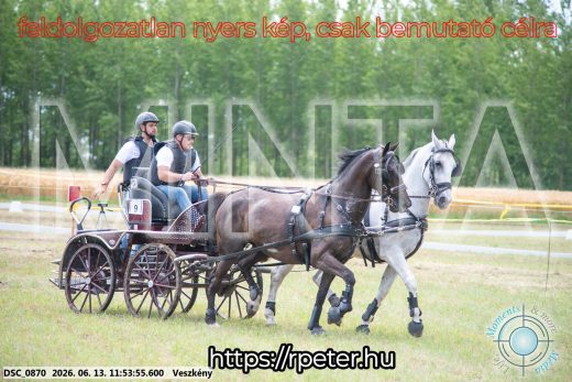 Mintakép 20260613-775