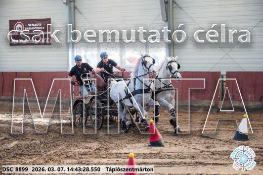 Mintakép 20260307-1166