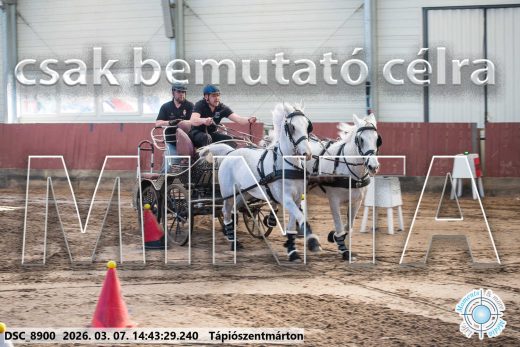 Mintakép 20260307-1167