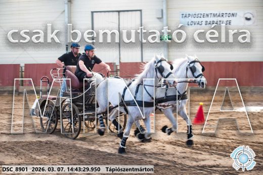 Mintakép 20260307-1168