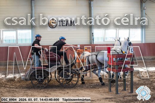 Mintakép 20260307-1171