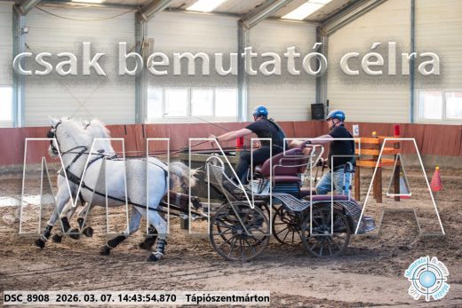 Mintakép 20260307-1173