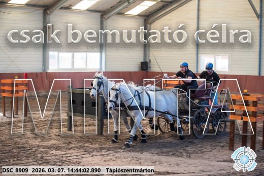 Mintakép 20260307-1174