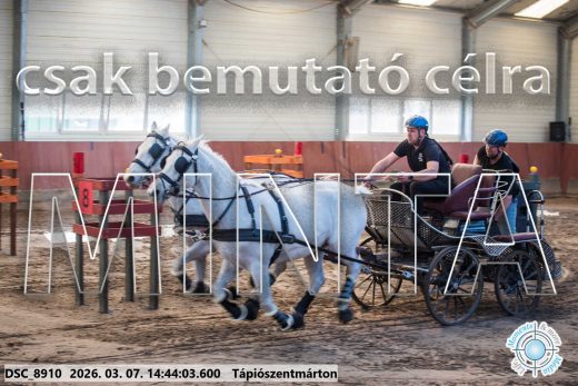 Mintakép 20260307-1175