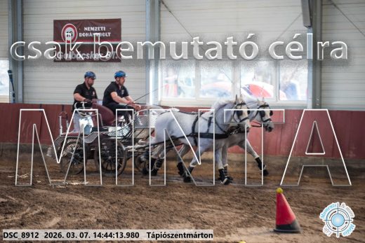 Mintakép 20260307-1177