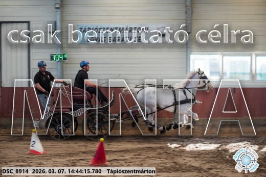 Mintakép 20260307-1178