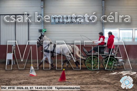 20260307-144532-DSC_8918.jpg