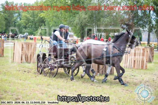 Mintakép 20260613-777