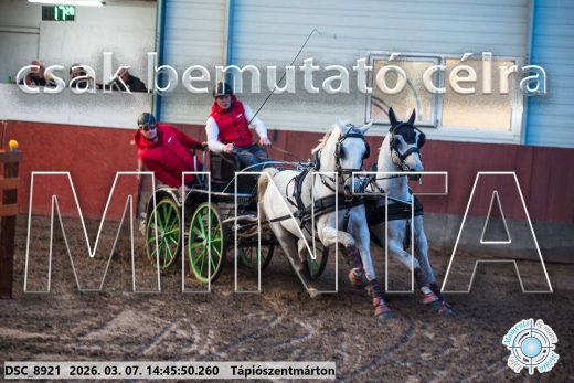 Mintakép 20260307-1184
