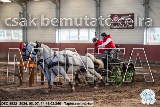 Mintakép 20260307-1185