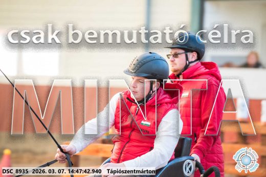 Mintakép 20260307-1197