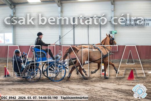 Mintakép 20260307-1204
