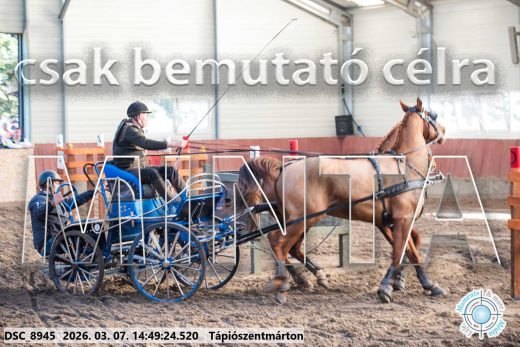 Mintakép 20260307-1207