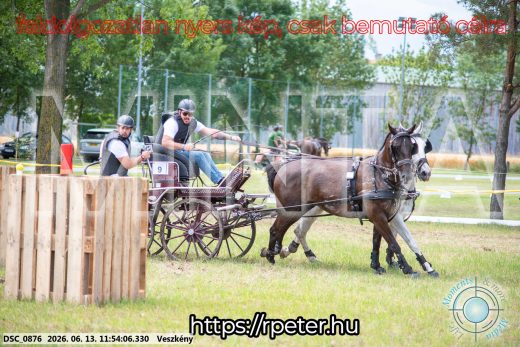 Mintakép 20260613-780