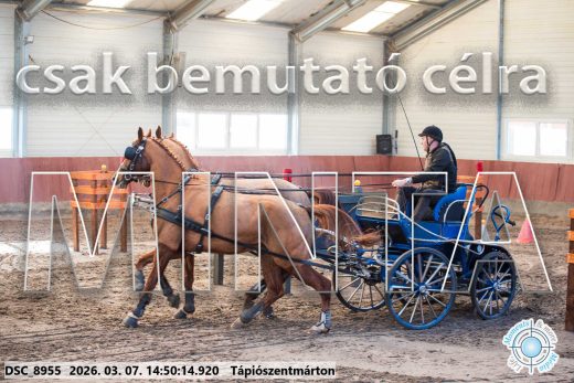 Mintakép 20260307-1216