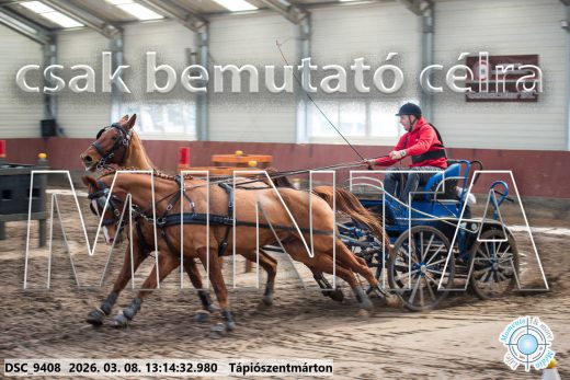 Mintakép 20260308-209