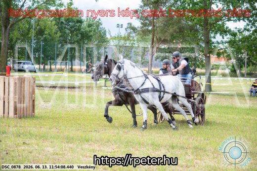 Mintakép 20260613-782