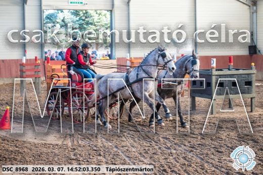 Mintakép 20260307-1227