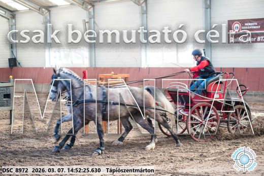 Mintakép 20260307-1230